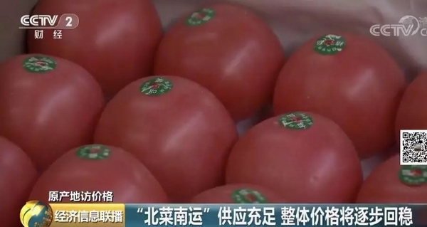 加強(qiáng)管理 確保獼猴桃豐產(chǎn)