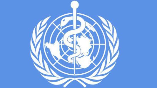世衛(wèi)組織：美洲地區(qū)許多國家疫情尚未達(dá)到峰值