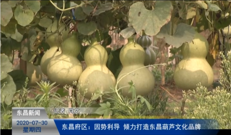 東昌府區(qū)：因勢利導(dǎo) 傾力打造東昌葫蘆文化品牌