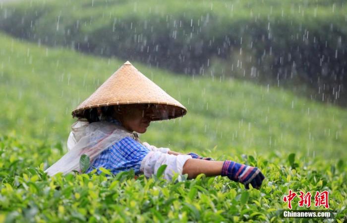 點(diǎn)擊進(jìn)入下一頁