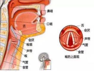 警惕！聲音嘶啞可能是腫瘤“信號”