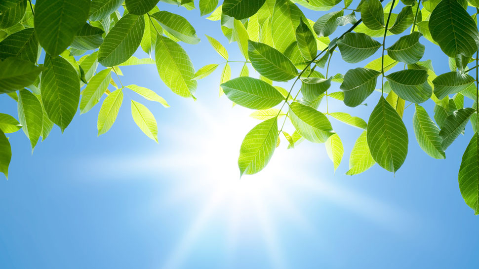 中暑就喝藿香正氣水？醫(yī)生提醒：可能適得其反