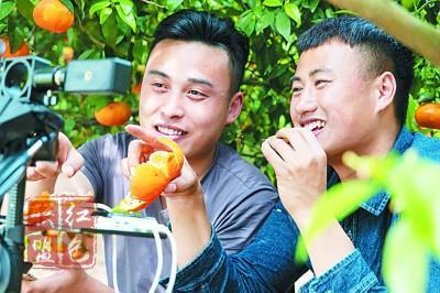 就業(yè)政策“大禮包”：兜底保障，掃除后顧之憂