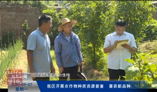 我區(qū)開展農作物種質資源普查  喜獲新品種