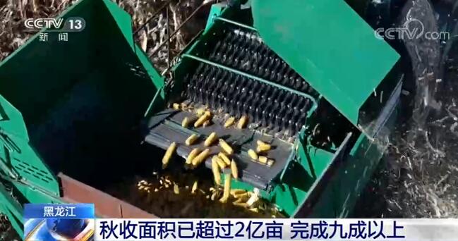 全國各糧食主產(chǎn)區(qū)秋收接近尾聲 豐收已成定局