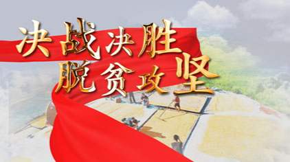 黨的領(lǐng)導(dǎo)是決戰(zhàn)決勝脫貧攻堅的根本保證