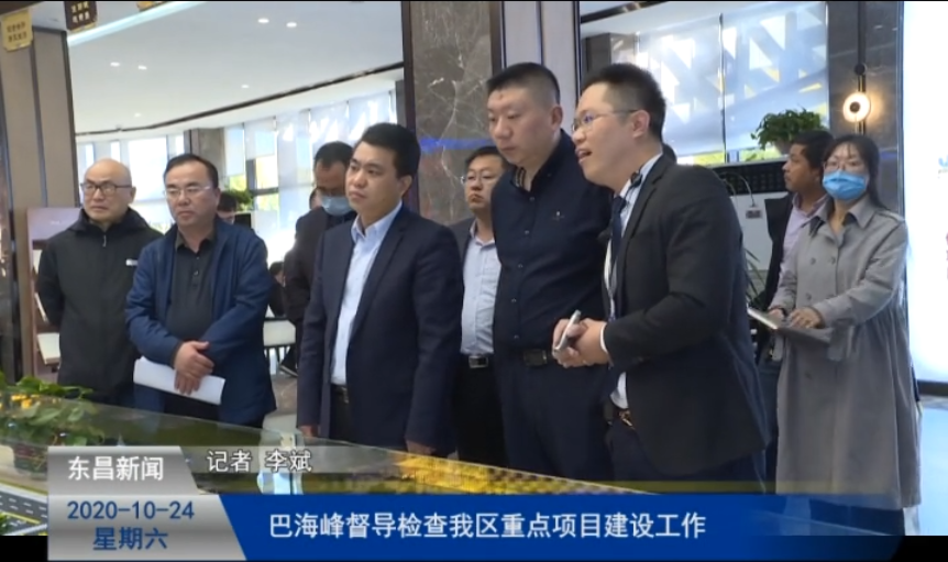 巴海峰督導檢查我區(qū)重點項目建設(shè)工作