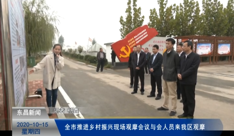 全市推進(jìn)鄉(xiāng)村振興現(xiàn)場觀摩會議與會人員來我區(qū)觀摩