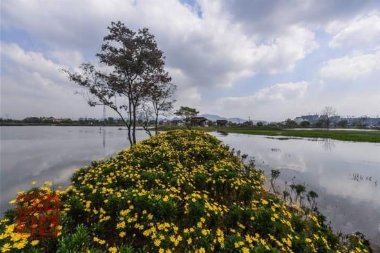 浙江富陽：城市"生態(tài)綠肺"亮相