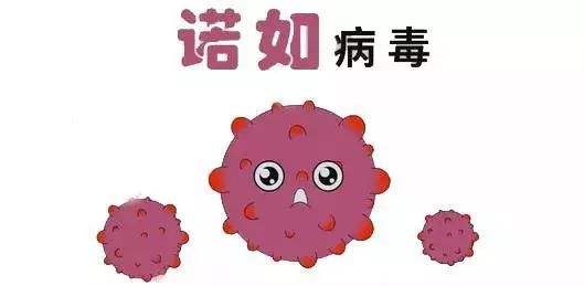 諾如病毒如何預防?衛(wèi)健委發(fā)布防控提示