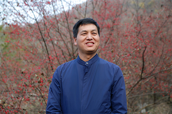 規(guī)范化管理山茱萸產(chǎn)業(yè)，助推地方經(jīng)濟(jì)發(fā)展