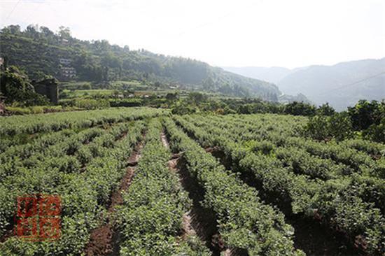 我國經(jīng)濟(jì)長期向好的基本面沒有改變