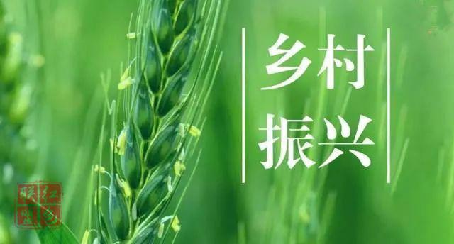 借回流農(nóng)民工之力，助推鄉(xiāng)村全面振興