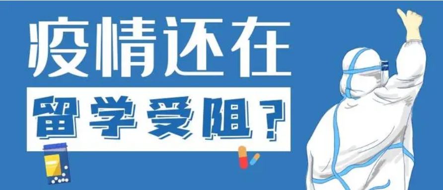 留學受阻，國際教育緣何逆勢升溫