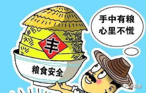 牢牢把住糧食安全主動權(quán)——訪國家糧食和物資儲備局局長張務(wù)鋒
