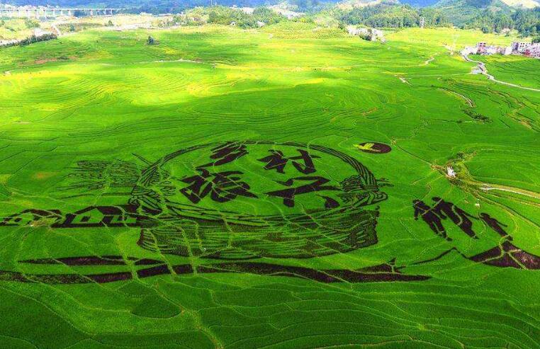 鄉(xiāng)村振興：農(nóng)業(yè)更強、農(nóng)村更美、農(nóng)民更富