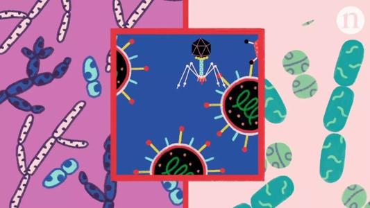 人類腸道微生物組曾發(fā)生顯著變化