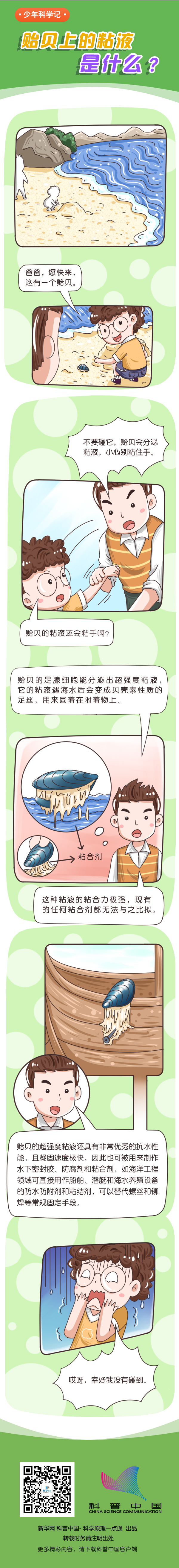 貽貝上的黏液是什么？