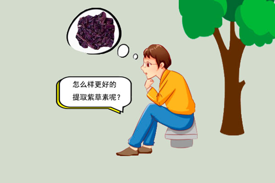 你聽過紫草素嗎？