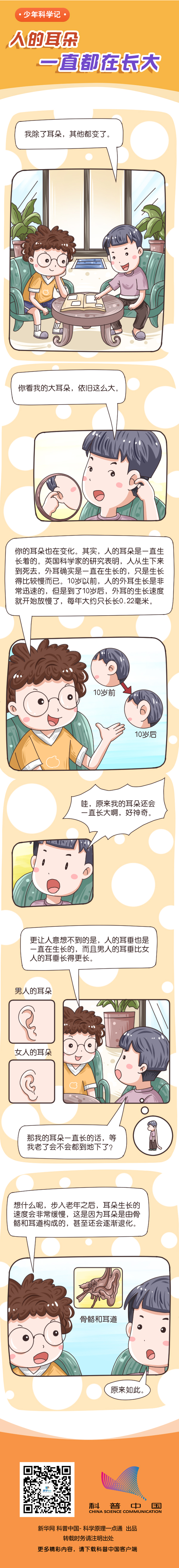 人的耳朵一直都在長大