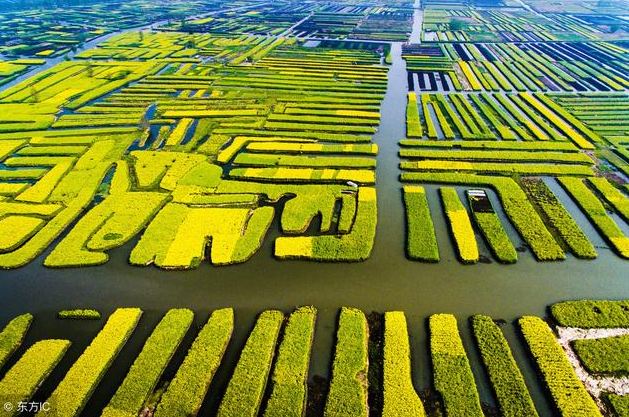 農(nóng)業(yè)文化遺產(chǎn)保護(hù)：留住古老智慧 啟示未來(lái)發(fā)展