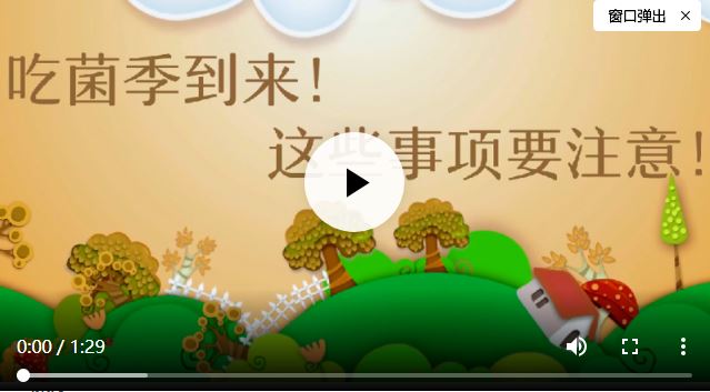 吃菌季到來！這些事項要注意！