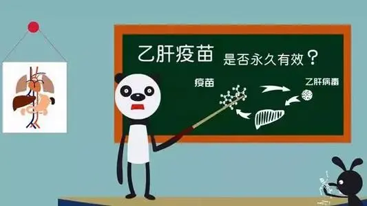 打了乙肝疫苗后就“一勞永逸”了嗎？