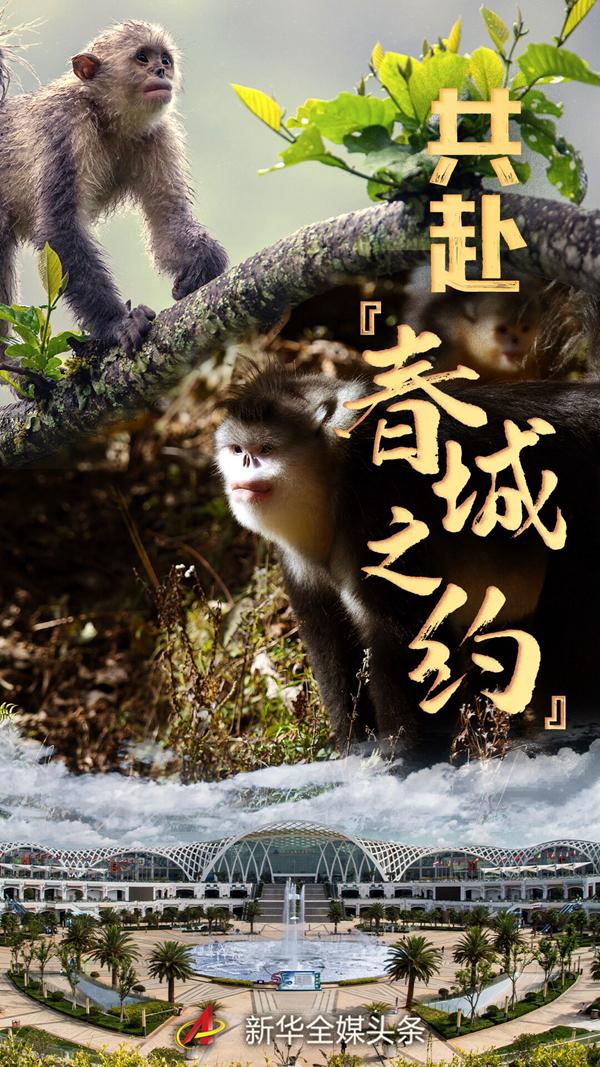 這場事關(guān)地球未來的大會 今年將在中國"春城"召開