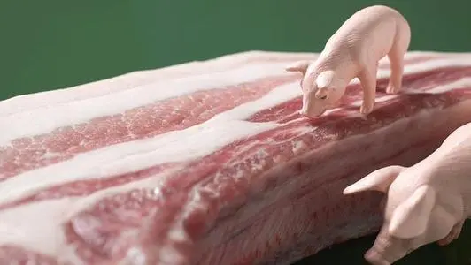 糧食、豬肉、大宗商品如何保供穩(wěn)價(jià)——發(fā)改委回應(yīng)經(jīng)濟(jì)運(yùn)行熱點(diǎn)