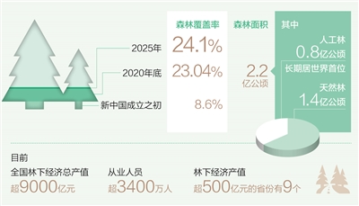 “十四五”時(shí)期森林覆蓋率將提高到24.1% 生態(tài)安全屏障更加牢固