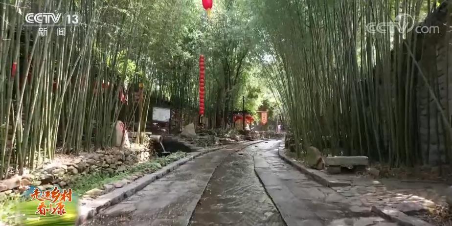【走進(jìn)鄉(xiāng)村看小康】山東臨沂：竹風(fēng)泉韻繞村落 生態(tài)旅游富鄉(xiāng)鄰