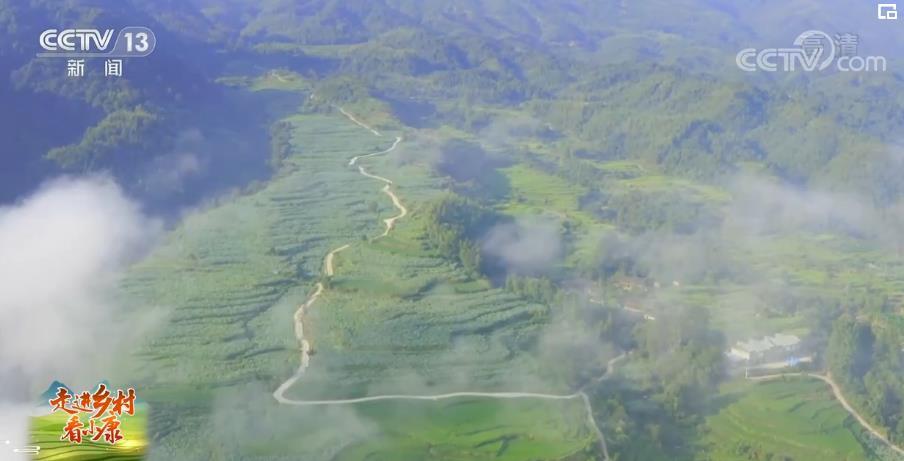 【走進(jìn)鄉(xiāng)村看小康】福建建寧：水清山秀建蓮美 賞花旅游促增收
