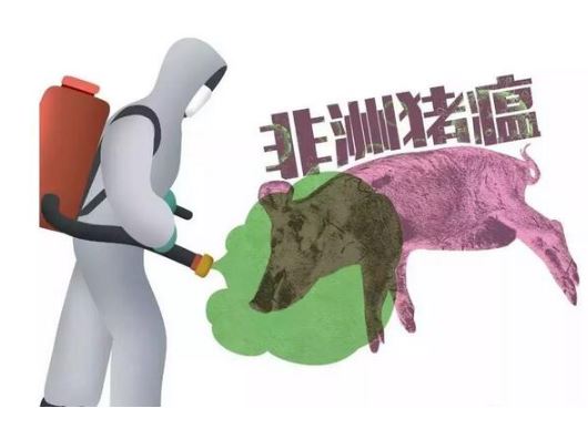 農(nóng)業(yè)農(nóng)村部：做好非洲豬瘟等重大動(dòng)物疫病分區(qū)防控工作