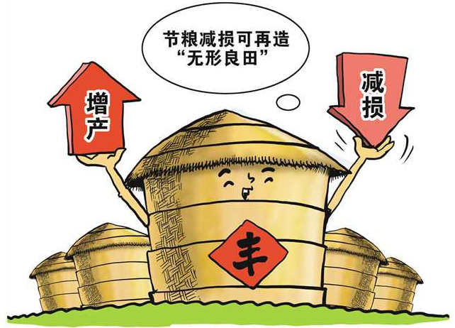 新華全媒+丨糧食豐收后，如何再增產(chǎn)？節(jié)糧減損可再造“無形良田”
