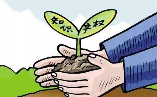 全國保護(hù)種業(yè)知識(shí)產(chǎn)權(quán)專項(xiàng)整治行動(dòng)向縱深推進(jìn)