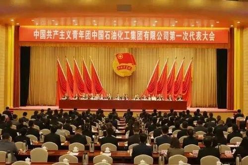 中國(guó)石油召開第一次團(tuán)代會(huì)