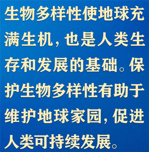 共同構建地球生命共同體，習近平提出“中國方案”