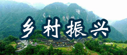 今年以來，習(xí)近平這樣強(qiáng)調(diào)鄉(xiāng)村振興