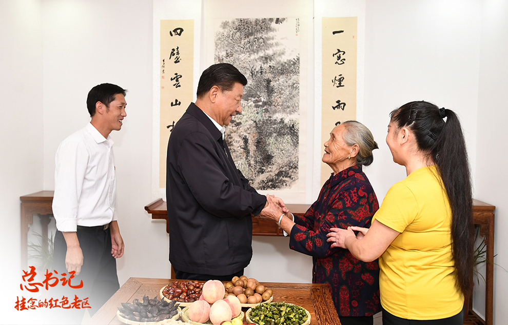 總書記掛念的紅色老區(qū)丨大別山區(qū)的“網(wǎng)紅打卡地”