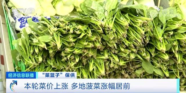 菜比肉貴？全國菜價連漲，一周均價漲近30%！這一波漲價，啥情況？