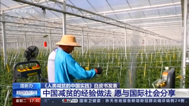 文化減貧呼喚多元主體的共同實踐