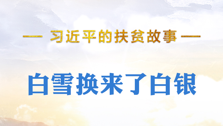 習(xí)近平的扶貧故事丨白雪換來了白銀