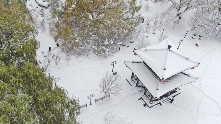 沈陽出現(xiàn)1905年有氣象記錄以來冬季最強降雪