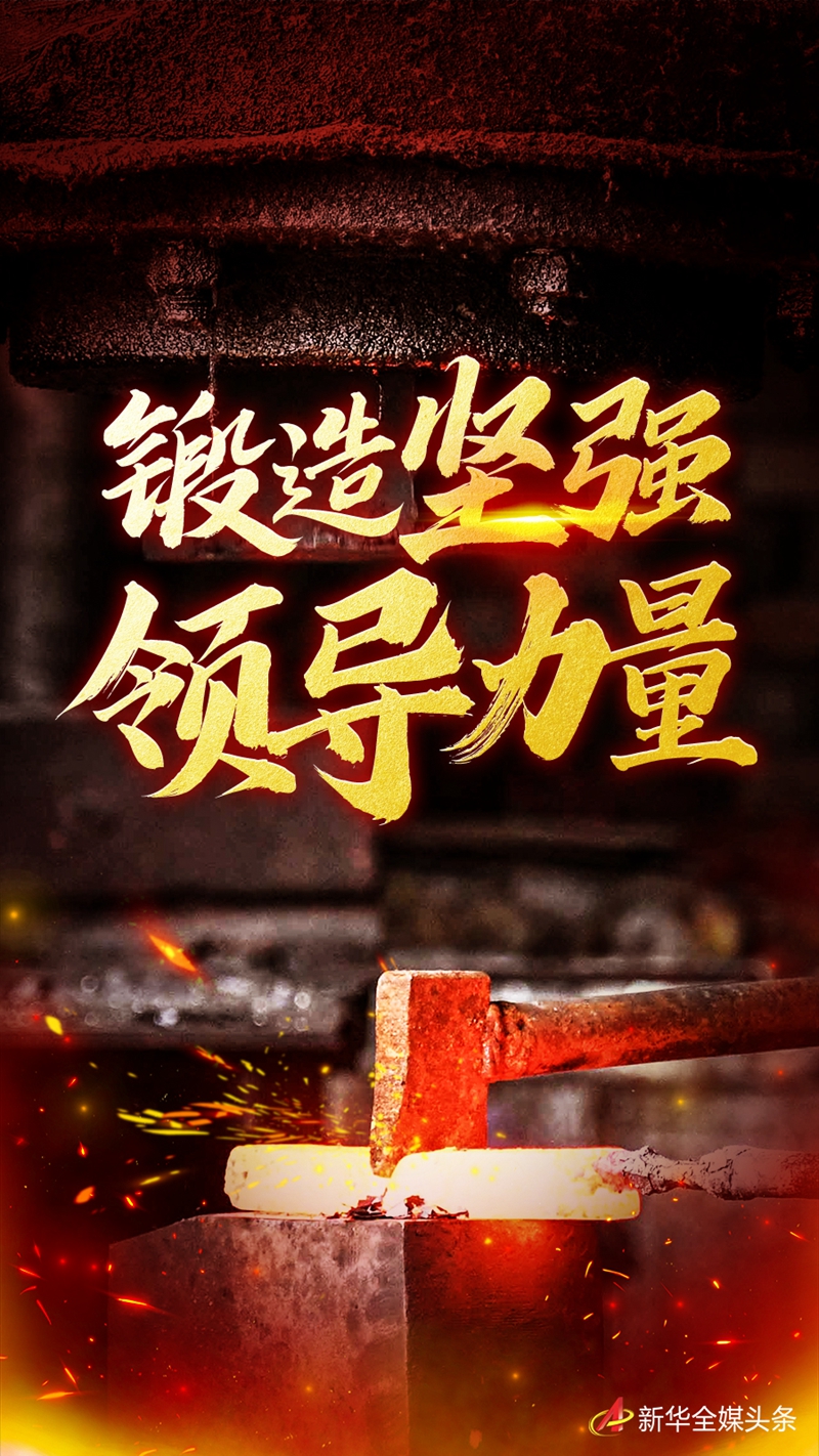 六中全會(huì)精神在基層｜鍛造堅(jiān)強(qiáng)領(lǐng)導(dǎo)力量——各地學(xué)習(xí)貫徹落實(shí)六中全會(huì)精神深入推進(jìn)全面從嚴(yán)治黨觀察