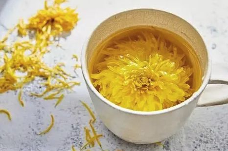 喝菊花茶降火除燥