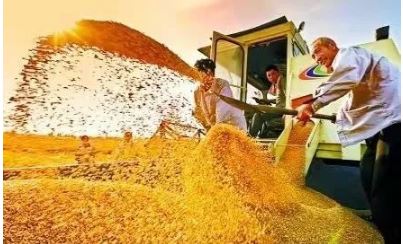 糧食儲備供應總量充足 保供穩(wěn)價成效顯著