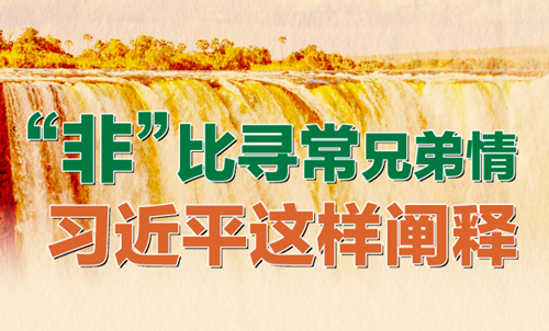 “非”比尋常兄弟情 習近平這樣闡釋