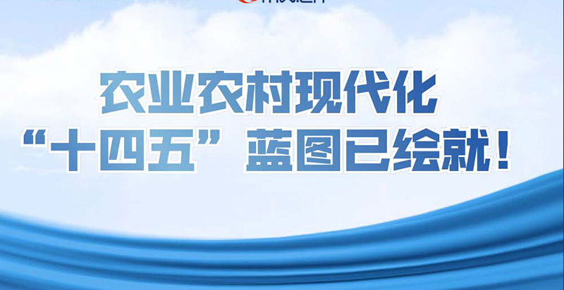 可視化|農(nóng)業(yè)農(nóng)村現(xiàn)代化，“十四五”藍(lán)圖已繪就！