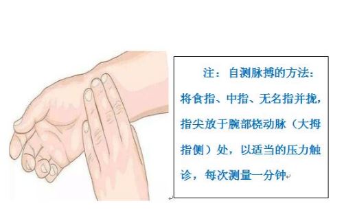 自測脈搏看心率