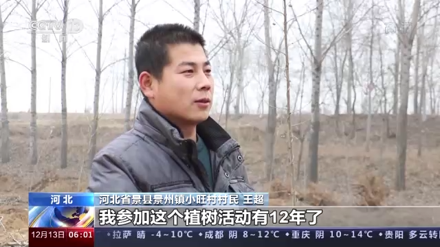 全民義務(wù)植樹40年 共175億人次植樹超780億株